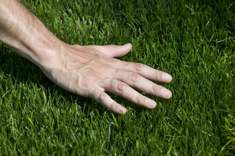 Bermuda Grass Installation in Rockwall, TX