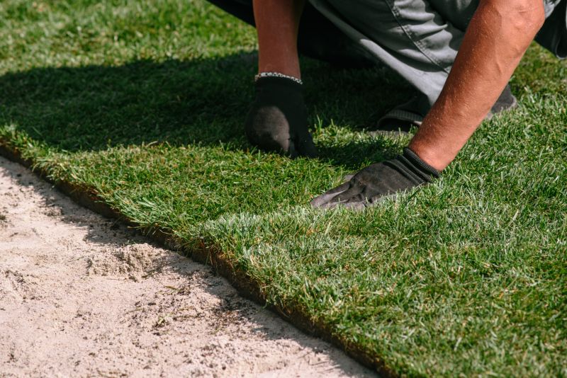 Turfing Service in Honolulu, HI