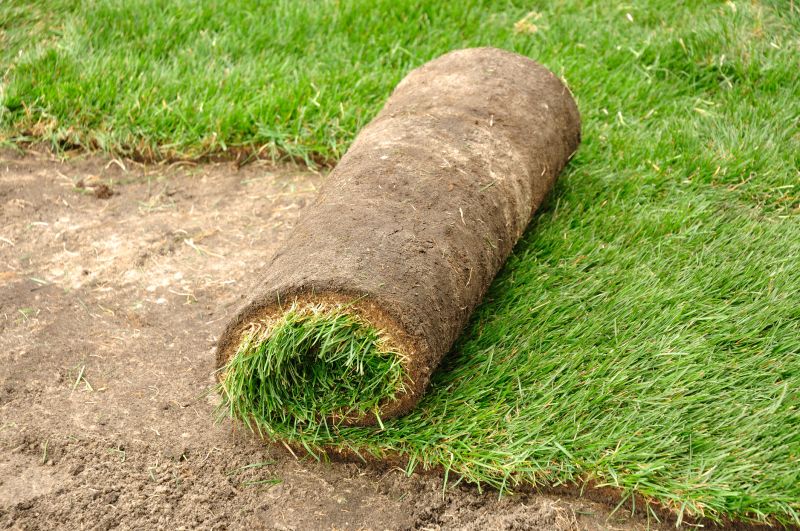 Bahia Sod Installation in Aiken, SC