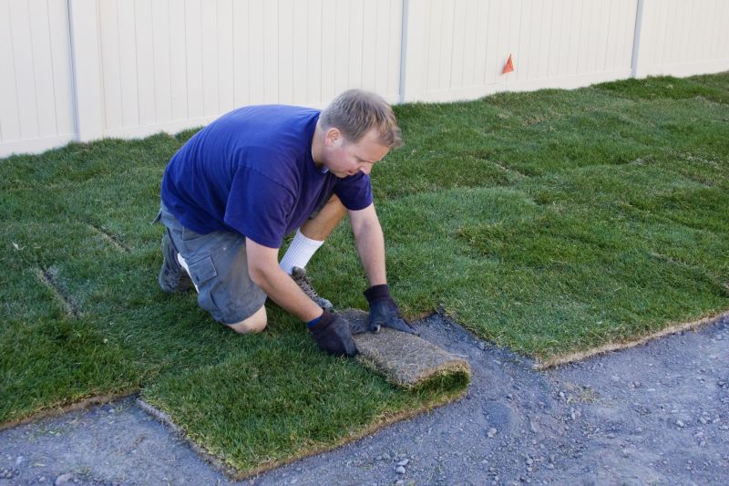 Bahia Sod Installation in Ventura County, CA