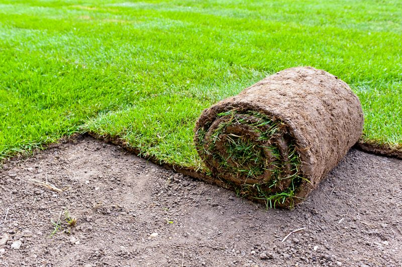 Bermuda Grass Installation in Rockwall, TX