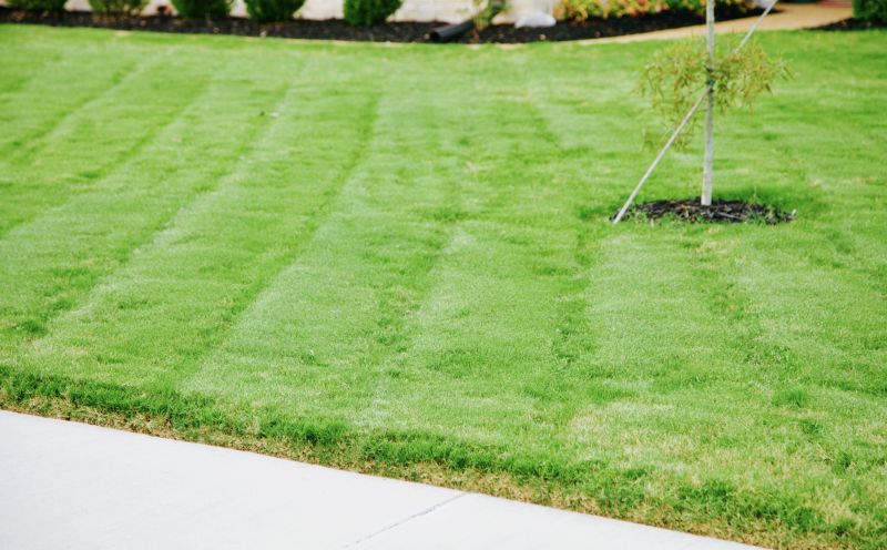 Bermuda Grass Installation in Honolulu, HI