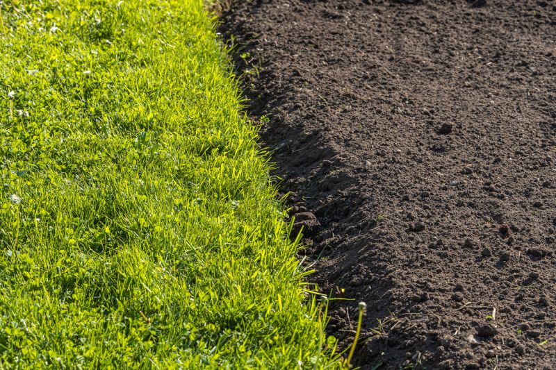 Bluegrass Sod Installation in Ventura County, CA