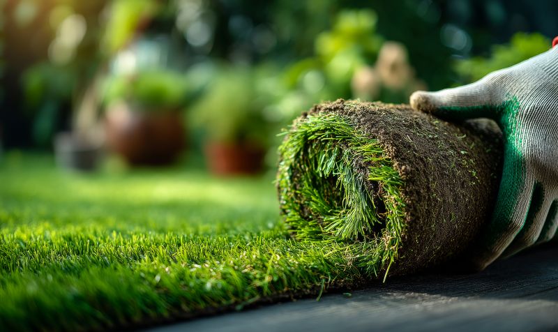 Commercial Sodding in Honolulu, HI