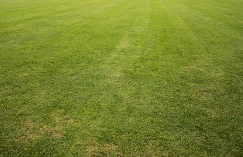 Grass Installation in Rockwall, TX