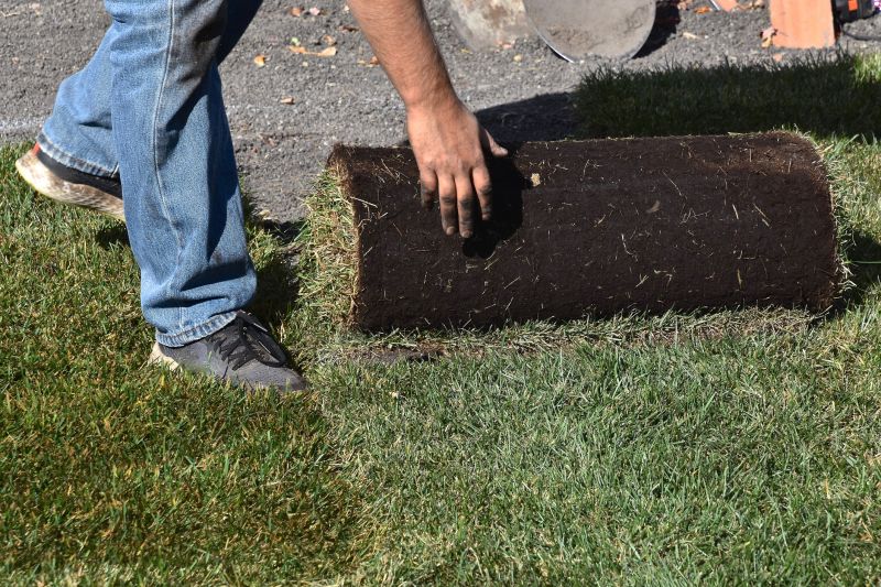 Grass Replacement in Ventura County, CA