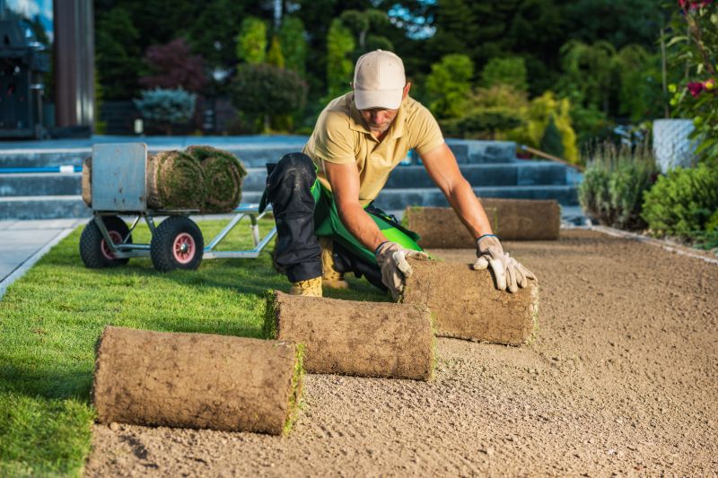 Grass Replacement in Aiken, SC