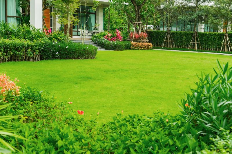 Grass Replacement in Aiken, SC