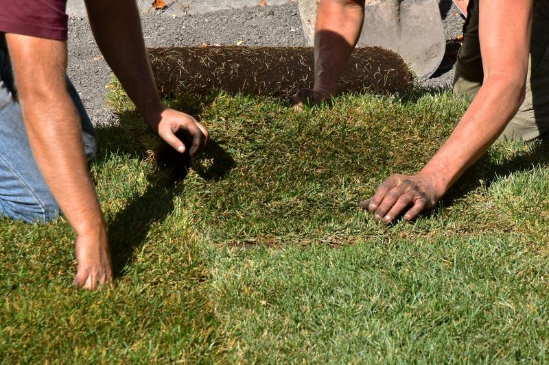 Lawn Sodding in Rockwall, TX
