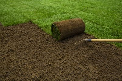 Sod Installation in Rockwall, TX
