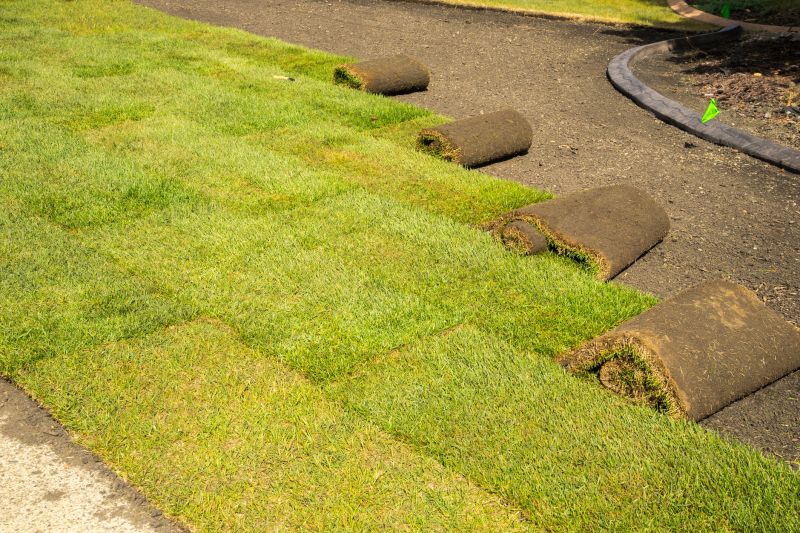 Sod Installation in Rockwall, TX