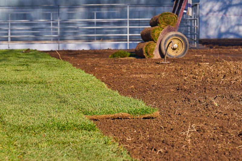 Sod Installation in Aiken, SC