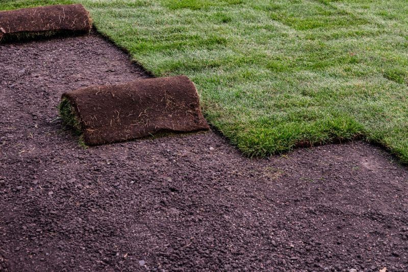 Sod Installation in Aiken, SC