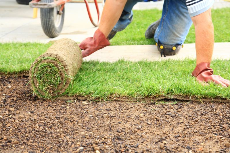 Sod Installation in Aiken, SC