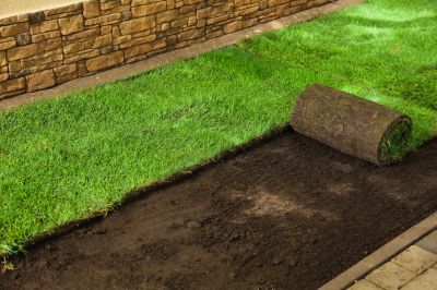 Sod Landscaping in Aiken, SC