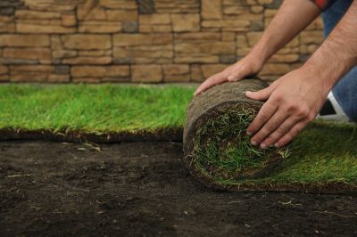 Sod Landscaping in Rockwall, TX