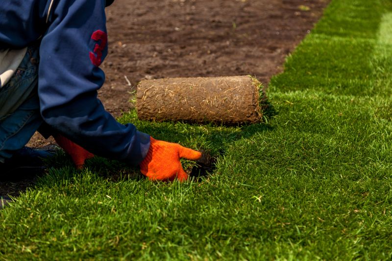 Sod Laying Service in Rockwall, TX