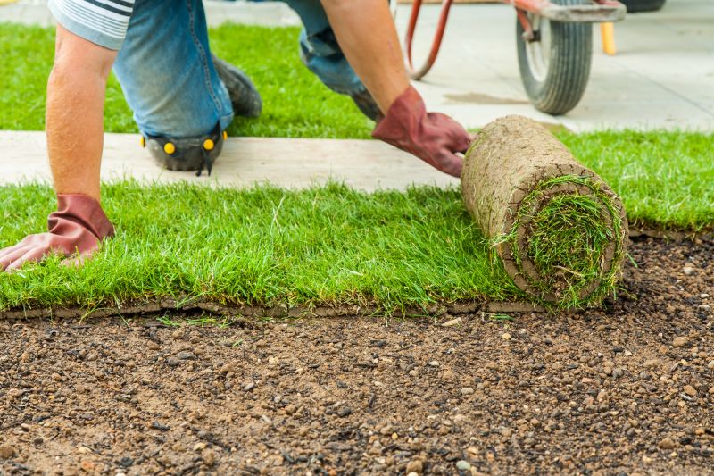 Sod Replacement in Rockwall, TX