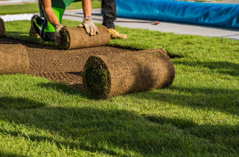 Zoysia Grass Installation in Honolulu, HI