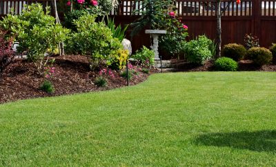 Zoysia Grass Installation in Honolulu, HI
