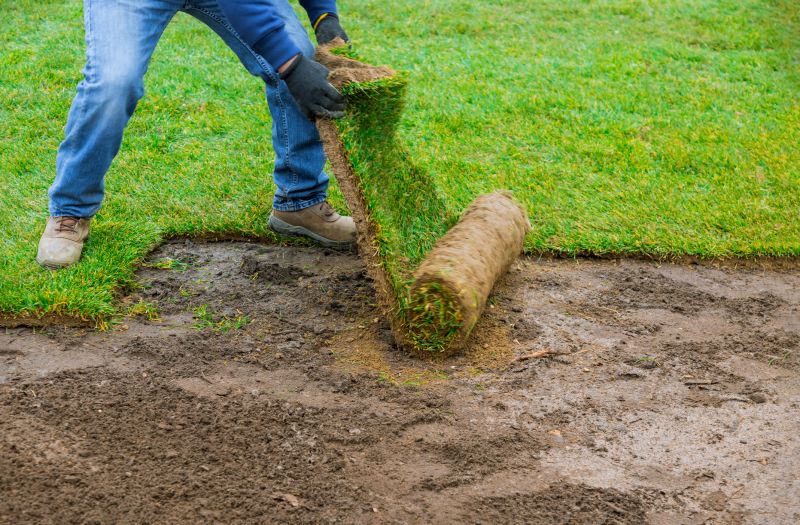 Zoysia Grass Installation in Ventura County, CA