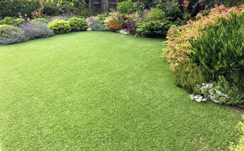 Zoysia Grass Installation in Ventura County, CA